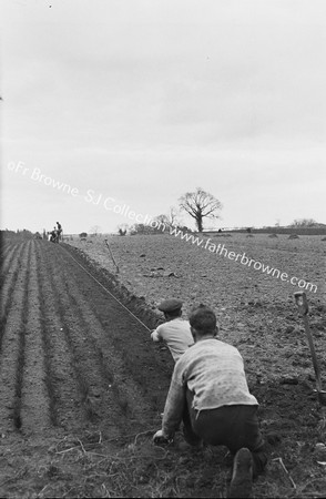 IN THE NURSERY KEEPING THE LINES STRAIGHT